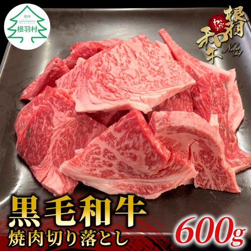 根羽こだわり和牛 焼肉切り落とし 600g リブロース カタロース モモ カタ バラ ウデ 焼肉用