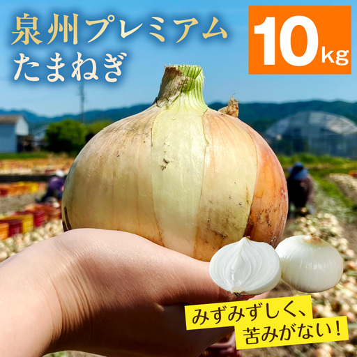 射手矢さんちの泉州プレミアムたまねぎ 10kg