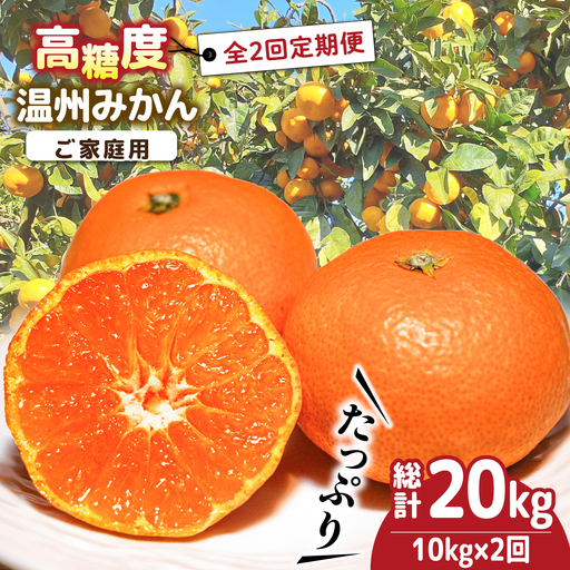 【2026年12月-発送】【2回定期便】高糖度 温州みかん（約10kg×2回） / みかん 定期便 ミカン 蜜柑 長崎県産みかん 糖度 果物 くだもの 果物定期便 フルーツ ふるーつ フルーツ定期便 旬 家庭用 10kg / 南島原市 / 南島原果物屋 [SCV002]