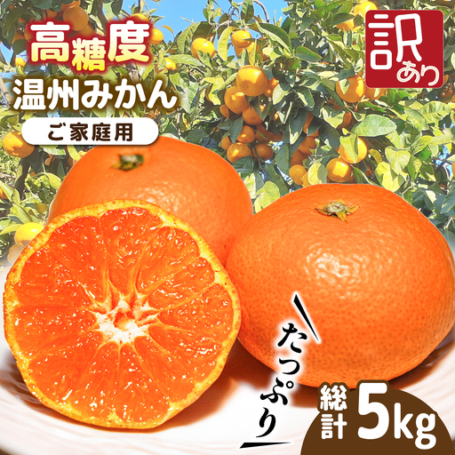 【2026年11月下旬-発送】【高糖度】 温州みかん 約5kg（傷もの） / みかん 訳あり ミカン 蜜柑 長崎県産みかん 糖度 果物 くだもの フルーツ ふるーつ 旬 家庭用 5kg / 南島原市 / 南島原果物屋 [SCV014]