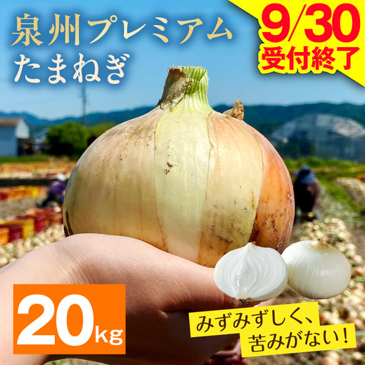 射手矢さんちの泉州プレミアムたまねぎ 20kg 