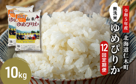 12ヵ月定期便 北海道産ゆめぴりか 10kg 無洗米 ゆめぴりか
