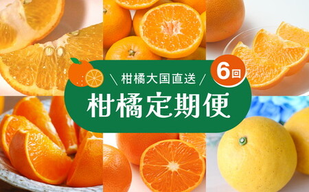 [定期便]えひめかんきつ定期便 全6回 [みかん 柑橘 フルーツ 定期便 国産 愛媛県 ] ※2026年11月〜発送