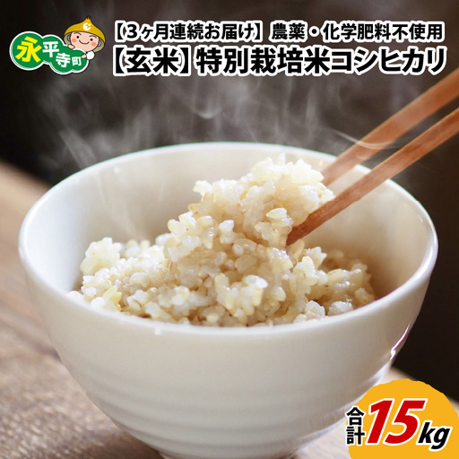 [3ヶ月定期便][玄米] 令和8年度産 新米 永平寺町産 農薬不使用・化学肥料不使用 特別栽培米 コシヒカリ 5kg×3ヶ月 計15kg 5キロ 5kg 米 米 お米 コメ 送料無料 こしひかり 福井