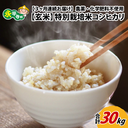 [3ヶ月定期便][玄米] 令和8年度産 新米 永平寺町産 農薬不使用・化学肥料不使用 特別栽培米 コシヒカリ 10kg×3ヶ月 計30kg 10月上旬より順次発送 10キロ 10kg 米 お米 コメ 送料無料 こしひかり 福井 [H-033070]
