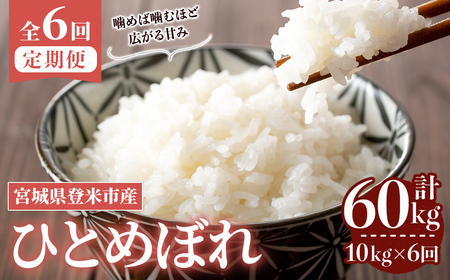 ≪令和8年産≫【6回定期便】ひとめぼれ 計60kg (10kg×6回配送) 登米市産 お米 おこめ 米 コメ 白米 ご飯 ごはん おにぎり お弁当 6か月 頒布会【登米ライスサービス株式会社】tm457