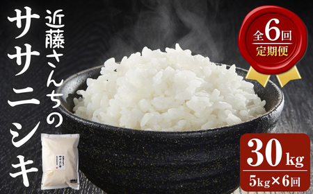 【6回定期便】≪令和8年産≫ ササニシキ 精米 計30kg(5kg×6回) 宮城県登米市産 お米 おこめ 米 コメ 白米 ご飯 ごはん おにぎり お弁当 6か月 頒布会【株式会社近藤農産】tm509