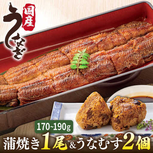 【お中元対象】蒲焼き 1尾 うなむす 2個 うなぎ 詰め合わせ  [ACL006] 鰻 うなぎ かばやき おにぎり