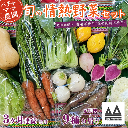 野菜 無農薬 農園自慢の情熱野菜セット 9種 【 3ヶ月 連続 お届け 】