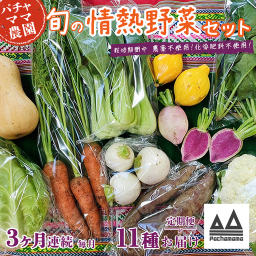野菜 無農薬 農園自慢の情熱野菜セット 11種 【 3ヶ月 連続 お届け 】