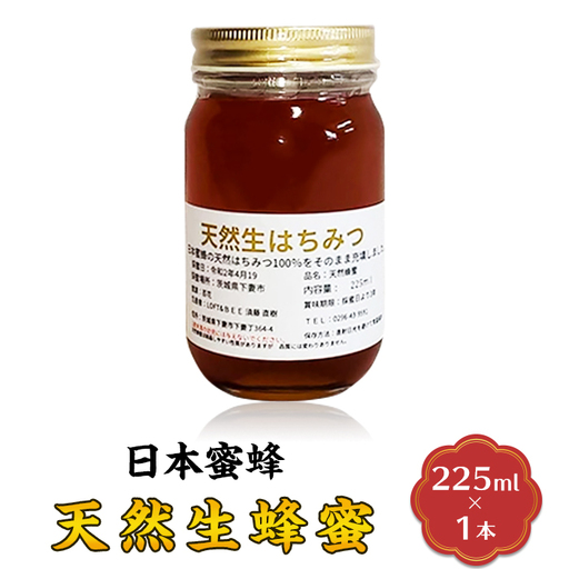 蜂蜜 日本蜜蜂 8月ごろ発送 はちみつ 生蜂蜜
