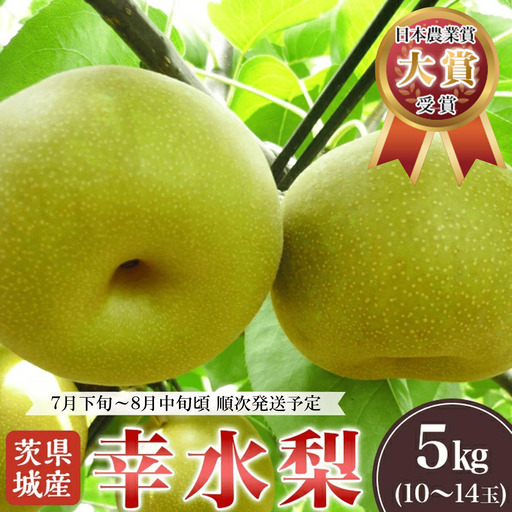 梨 先行予約 幸水 5kg（10〜14玉）　 梨