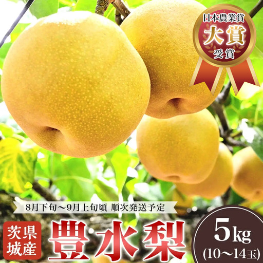 梨 豊水 5kg(10〜14玉) 梨