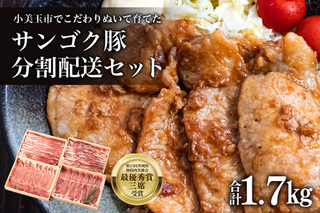 サンゴク豚(分割配送セット) 合計1.7kg(850g×2回)定期便 しゃぶしゃぶ 焼き肉 豚肉 豚バラ肉 ロース 小分け 真空パック しゃぶしゃぶ肉 焼肉用 ブタ肉 国産 茨城県産 ギフトプレゼント 高級部位 2-A