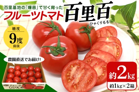 【数量限定 先行予約】＜2027年1月出荷開始予定＞ 爆音トマトと呼ばれるフルーツトマト「百里百」 2kg 甘い 酸味 肉厚 大玉 産地直送 とまと 健康 リコピン 百里基地 戦闘機 国産 茨城県 小美玉市 直売所 水耕栽培 野菜 やさい 一人暮らし 13-E
