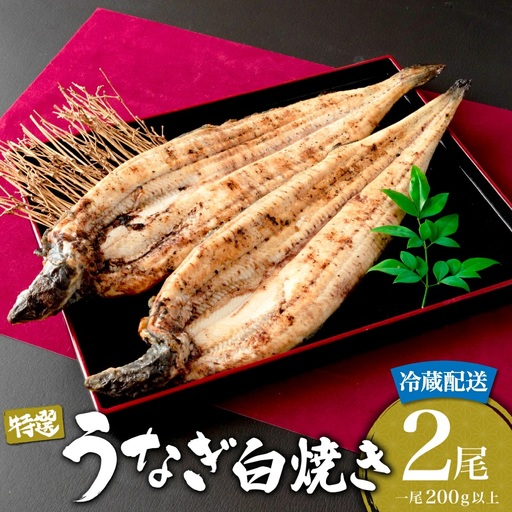うなぎ白焼き 400g (200g×2尾) 