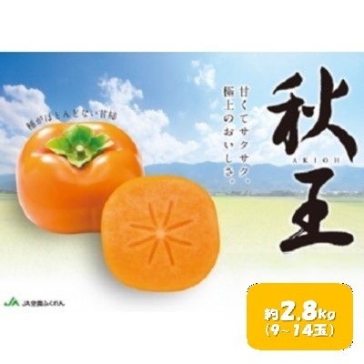 柿 秋王 あきおう 約2.8kg 9〜14玉 果物 柿