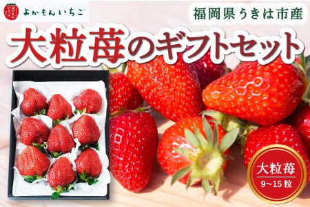よかもんいちご 大粒苺のギフトセットA  2027年4月1日から4月30日出荷予定