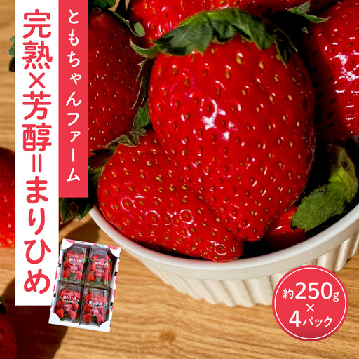 「完熟×芳醇=まりひめ」4パック（約250g×4）≪先行予約≫2027年1月上旬より順次発送予定【1009-5】