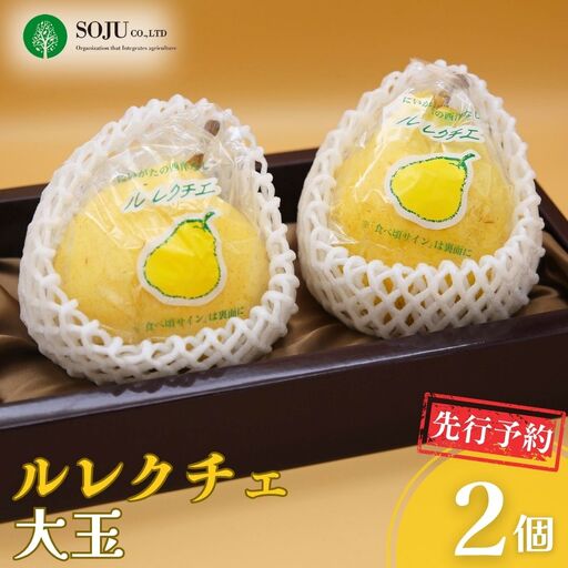 先行予約 ル レクチェ 大玉 2玉 令和8年度 洋梨JGAP認証農場 新潟県 三条市産 ル レクチエ 冬限定