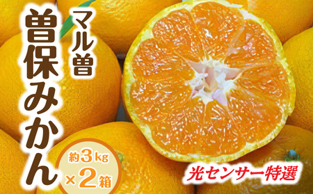 【マル曽】光センサー特選 曽保みかん(約3kg×2箱)