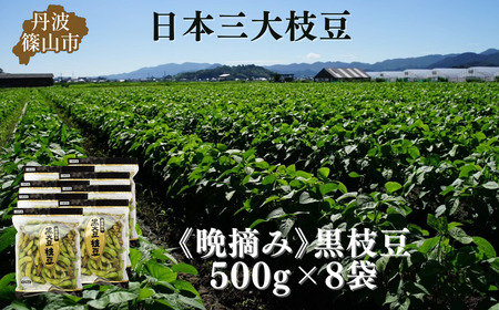 黒枝豆〈先行予約〉丹波黒枝豆 濃厚 500g×8袋 黒枝豆 4kg 晩摘み 枝豆 [CU13]