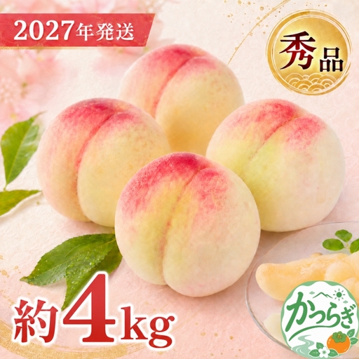 桃 和歌山県産 桃 10玉～16玉 約4kg 秀品 【2027年7月上旬～2027年8月下旬頃発送予定】【US37】【AS004-uts064A】