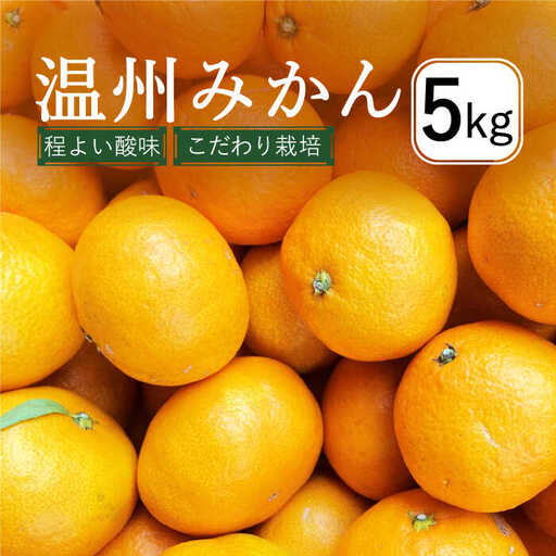 【2026年12月中旬-発送】温州みかん 5kg（2S-2L込）  / みかん ミカン みかん ミカン ミカン 蜜柑 柑橘 フルーツ 果物 / 南島原市 / 日野江 [SCY001]