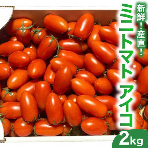 【2026年1月-発送】ミニトマト ( アイコ ) 2kg / トマト 南島原市 / AOTASFARM [SDM002]