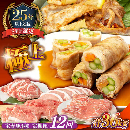 【12回定期便】豚肉 バラエティ豚肉セット 芳寿牧場 [SEI022] 