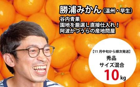 谷内青果 早生みかん 秀品 サイズ混合 10kg