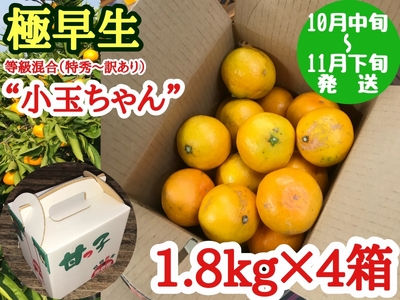 [極早生・有田みかん]小玉ちゃん 約7.2kg (約1.8kg×4箱) (等級混合・2S〜4Sサイズ混合)_ZF6016n