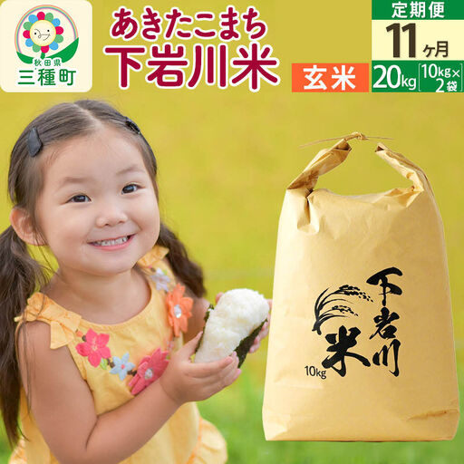 【R8年新米予約】 《11ヶ月定期便》【玄米】あきたこまち 20kg (10kg×2袋) 秋田県三種町産 令和8年産 下岩川米