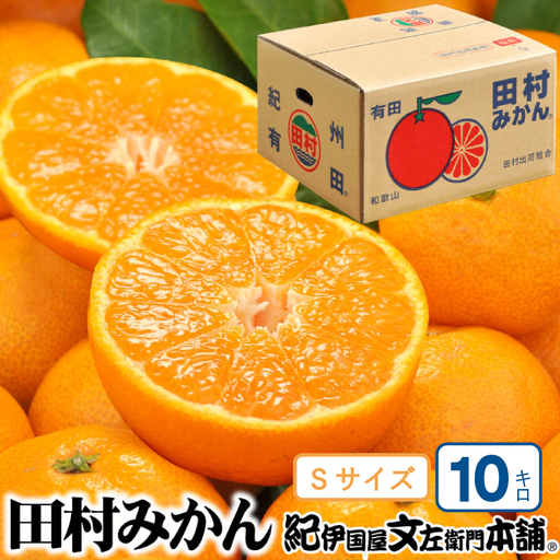 田村みかん 特選ギフト品 10kg【Sサイズ】赤秀/紀州和歌山有田郡湯浅町田村地区産 ◆2026年11月下旬～2027年1月中旬頃に順次発送予定(お届け日指定不可)　紀伊国屋文左衛門本舗【ntb304C】