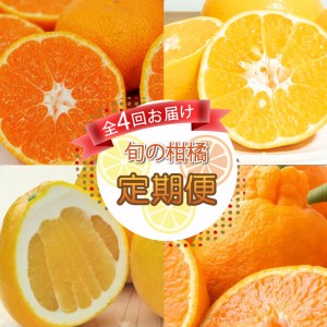 旬の 柑橘類 食べ比べ 4回 清家ばんかんビレッジ みかん 家庭用 訳あり 愛媛みかん ポンカン 不知火 河内晩柑 温州みかん 訳あり みかん 大きさ 不揃い 傷 柑橘 おすすめ 愛媛県 愛南町 訳あり みかん (柑橘定期便 みかん定期便 食べ比べ定期便 4回 清家ばんかんビレッジ定期便) 訳あり みかん