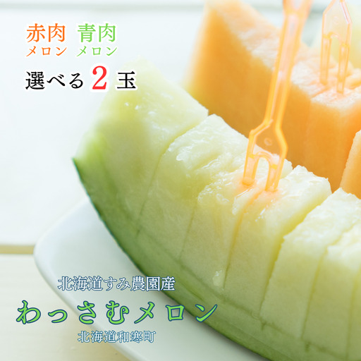 [ふるさと納税]≪令和8年産予約≫わっさむ産メロン(赤・青各1玉)[7〜8月お届け]