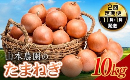 北海道産 たまねぎ 「山本農園のたまねぎ」L〜L大サイズ前後 10kg 2回定期便(11月・1月発送) 南幌町 国産 NP1-300