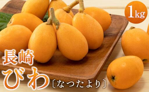 長崎びわ「なつたより」1kg＜先行予約／数量限定＞｜びわ