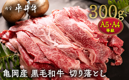 平井牛 切り落とし 300g 切り落とし
