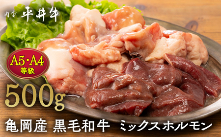 【7営業日以内発送】平井牛 ミックスホルモン 500g 焼肉 焼肉 焼肉 焼肉 焼肉 焼肉