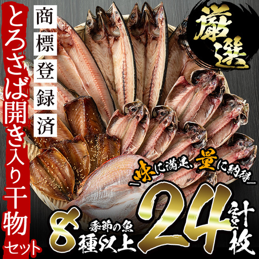 干物 詰め合わせ 24枚 厳選 旬 干物 【みのだ食品】 No.203-A 