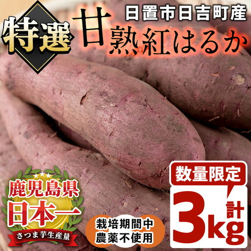 [先行予約受付中!]鹿児島県産!栽培期間中農薬不使用 特選甘熟さつまいも(生)紅はるか3kg(S・M・Lサイズ 混在) 贈り物にも!いも 芋 さつまいも サツマイモ 焼き芋 大学芋 スイーツ 熟成 ギフト 贈答用 [上原農園]