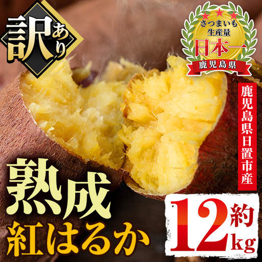 さつまいも サツマイモ 紅はるか 訳あり 12kg 末永商店  No.560-B