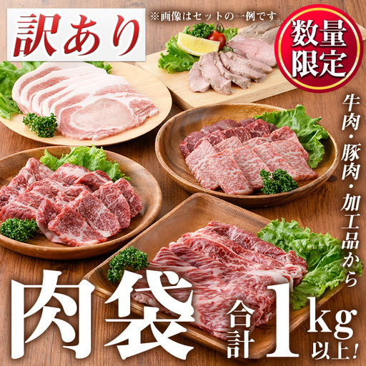 肉袋 福袋 訳あり 計1kg以上 LRプラスK 834