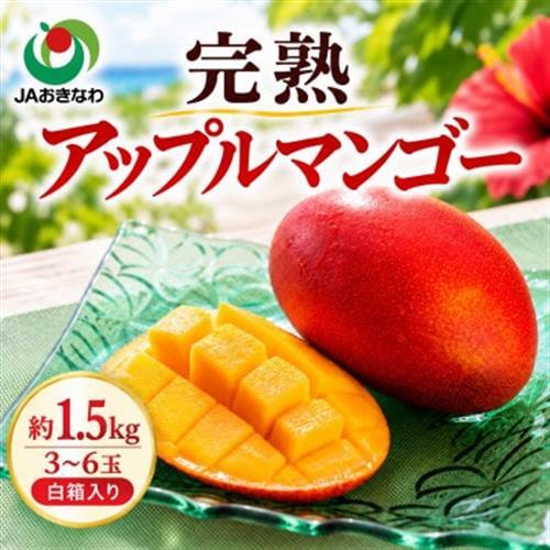 [2027年6月下旬から順次発送・家庭用]JAおきなわ厳選 完熟アップルマンゴー1.5kg[配送不可地域:離島]