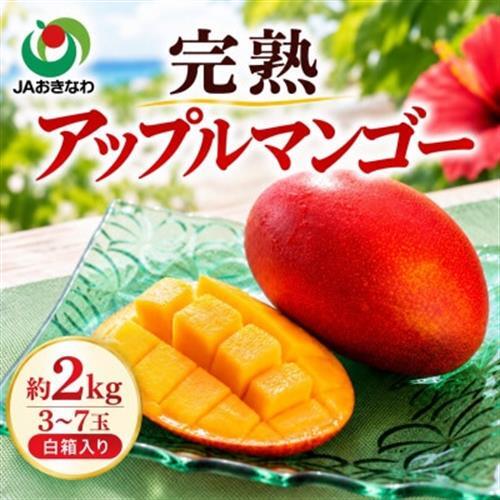 [2027年6月下旬から順次発送・家庭用]JAおきなわ厳選 完熟アップルマンゴー2kg(3〜7玉)[配送不可地域:離島]