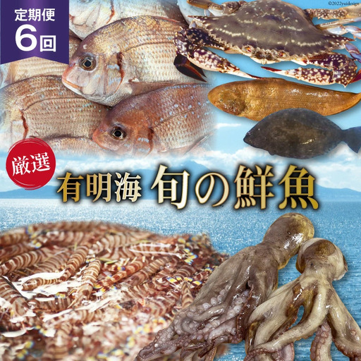 BG065【定期便】有明海 旬の鮮魚 漁協おすすめ 海の幸定期便 計6回