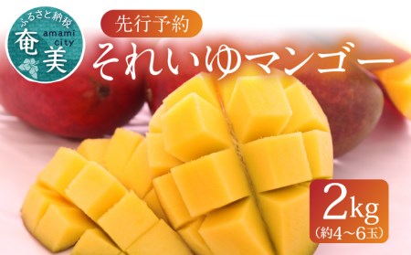それいゆ マンゴー 2kg A006-015 それいゆマンゴー フルーツ トロピカル 事前受付 事前予約 ソレイユスマイルふるさと納税 奄美市 おすすめ ランキング プレゼント ギフト