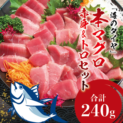 本マグロ(養殖)トロ&赤身セット 240g [11月発送][配達日指定不可]高級 クロマグロ 中トロ 中とろ 大トロ 大とろ まぐろ マグロ 鮪 刺身 赤身 柵 じゃばらまぐろ 本マグロ 本鮪[nks113B-11]