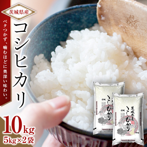 令和8年産 茨城 新米 こしひかり 10kg（5kg×2本） 国産 お米 米 コメ 白米 ライス ご飯 おいしい コシヒカリ